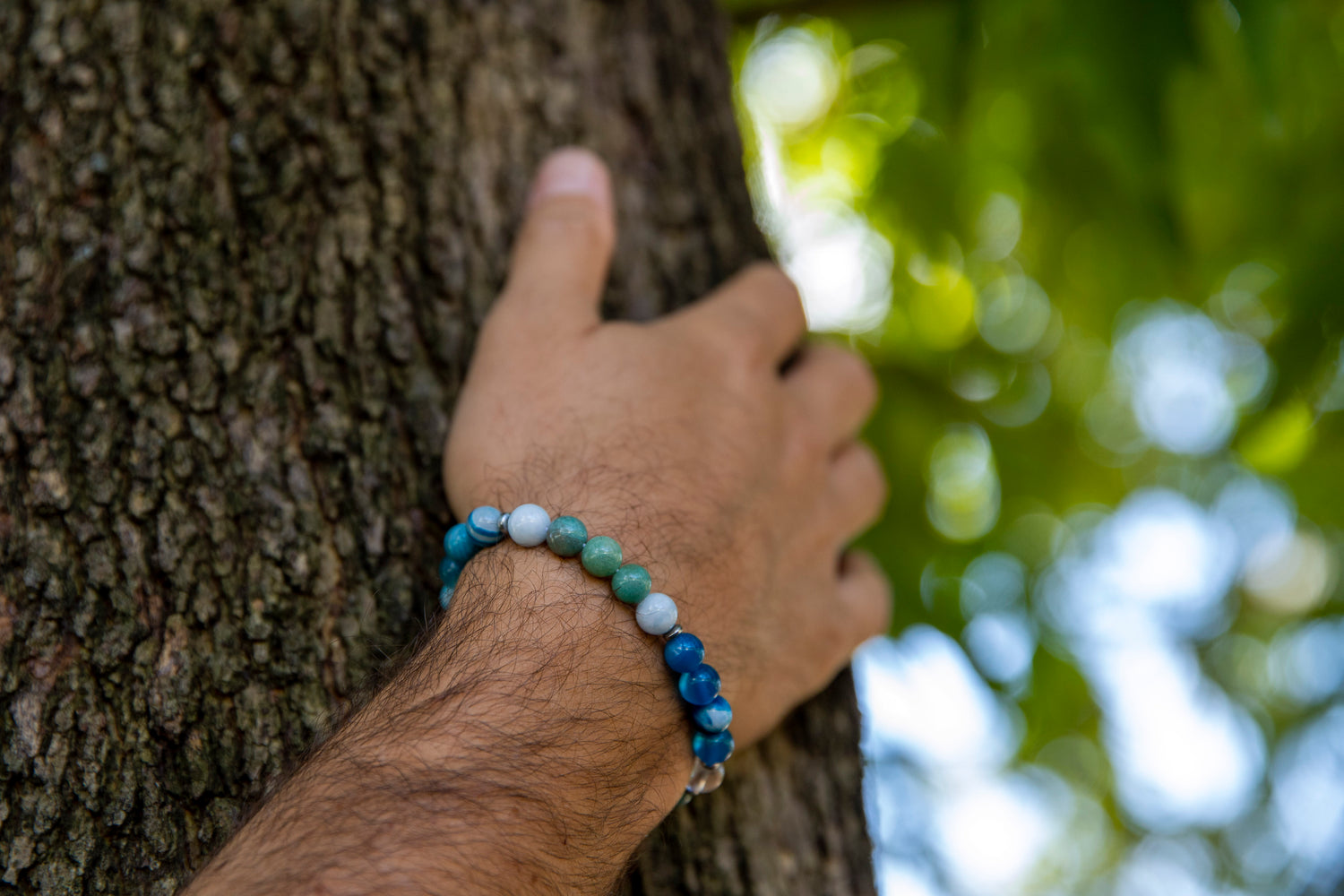 men touching tree with balance bracelet